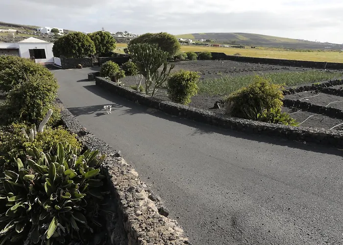 乡村民宿 La Rubina